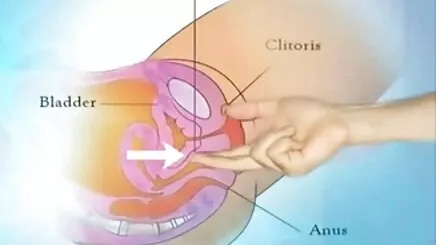 Sarışın, büyük aşk amatör türk porno indir