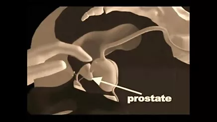 Natalie sokakta amatör porno