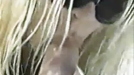 Missy-şeffaf elbise türk porno izle amatör