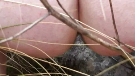Güzel amatör porno gizli çekim göğüsleri ile ergen horoz mükemmel ergen